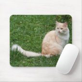 淡赤美しい マウスパッド (マウス)