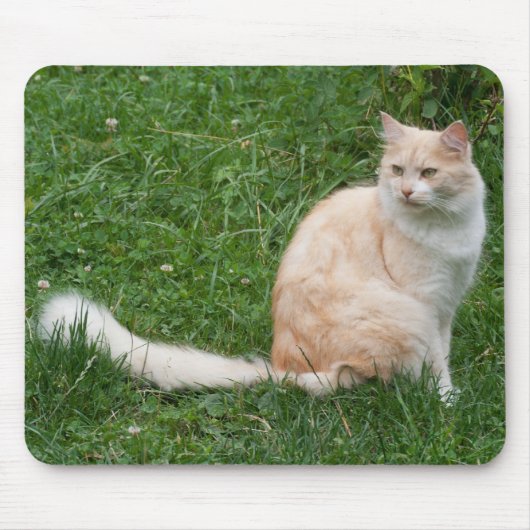 淡赤美しい マウスパッド (正面)