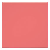 淡赤色 ポスター (正面)