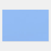 淡青 ラッピングペーパーシート (正面3)