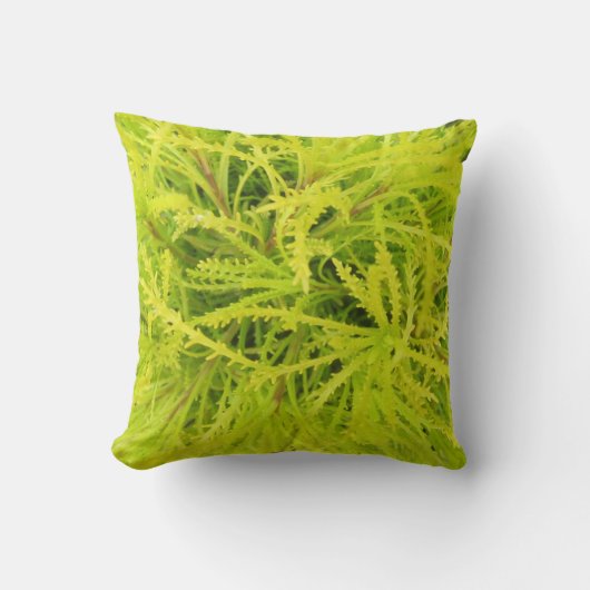 淡黄緑! 枕 (正面)