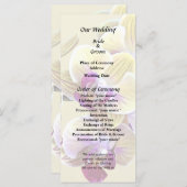 淡黄色とマゼンタのファレノプシス・ラン プログラム (正面/裏面)