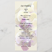 淡黄色とマゼンタのファレノプシス・ラン プログラム (正面)