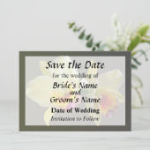 淡黄色のカトレアのラン Save the Date セーブザデート (スタンド正面)