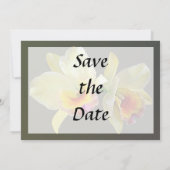 淡黄色のカトレアのラン Save the Date セーブザデート (裏面)