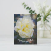 淡黄色のバラ ポストカード (スタンド正面)