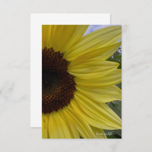 淡黄色ひまわり ノートカード (正面/裏面)
