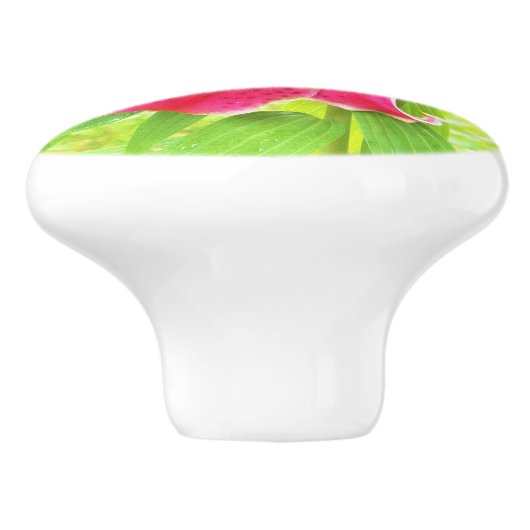 深いかわいらしピンクスターガーザーリリオンライムグリーン セラミックノブ (側面)