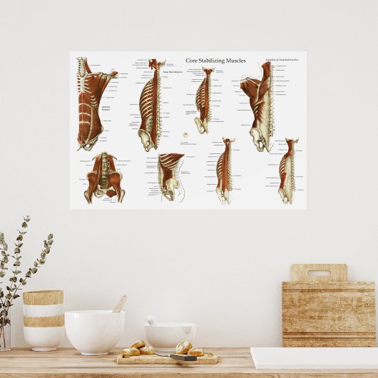 深いとコア安定筋肉の解剖学ポスター ポスター (キッチン)