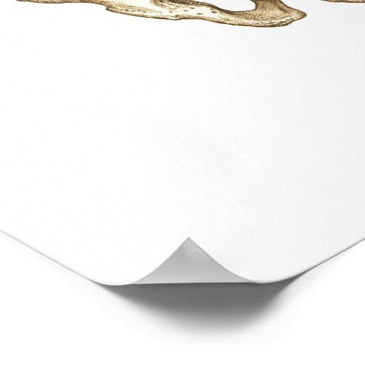 深いとコア安定筋肉の解剖学ポスター ポスター (角)