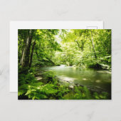 深いの森 ポストカード (正面/裏面)