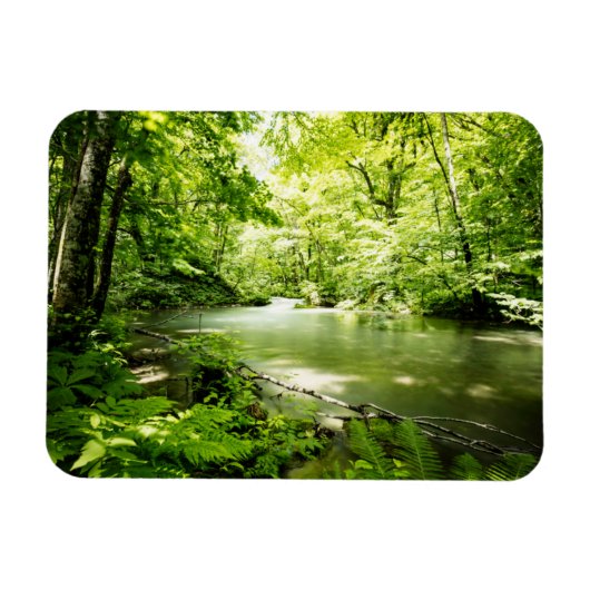 深いの森 マグネット (横)