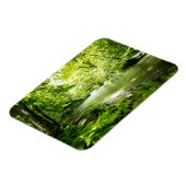 深いの森 マグネット (左側)