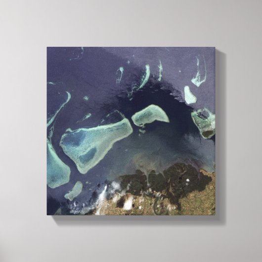 深いの緑の森 キャンバスプリント (正面)