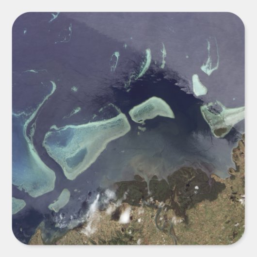 深いの緑の森 スクエアシール (正面)