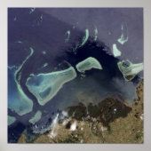 深いの緑の森 ポスター (正面)