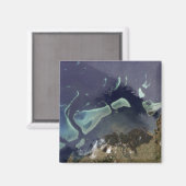 深いの緑の森 マグネット (正面/裏面)