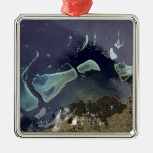 深いの緑の森 メタルオーナメント (正面)