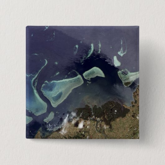 深いの緑の森 缶バッジ (正面)