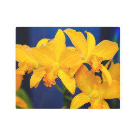 深いイエローオーキッドメタルウォールアート メタルプリント