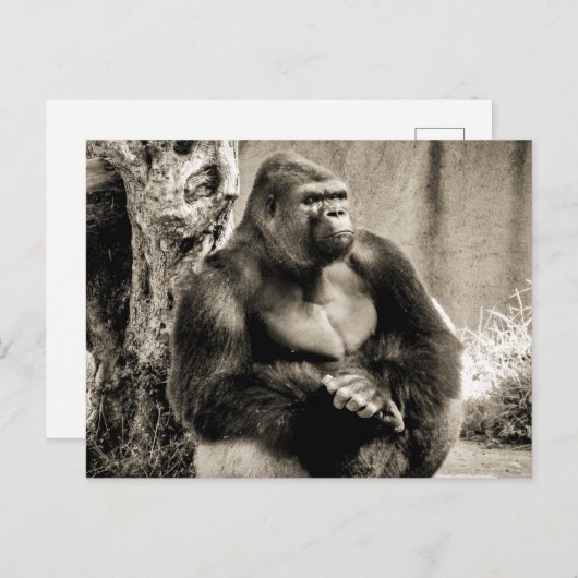 深いイン考えはがき ポストカード (正面/裏面)