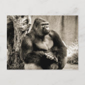 深いイン考えはがき ポストカード (正面)