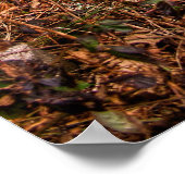 深いウッズピットストップ ポスター (角)