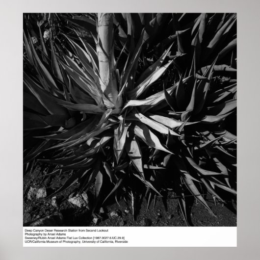 深いキャニオンデザートリサーチステーションバイアンセルアダムス ポスター (正面)