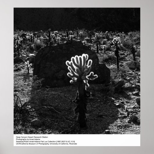 深いキャニオンデザートリサーチステーションバイアンセルアダムス ポスター (正面)