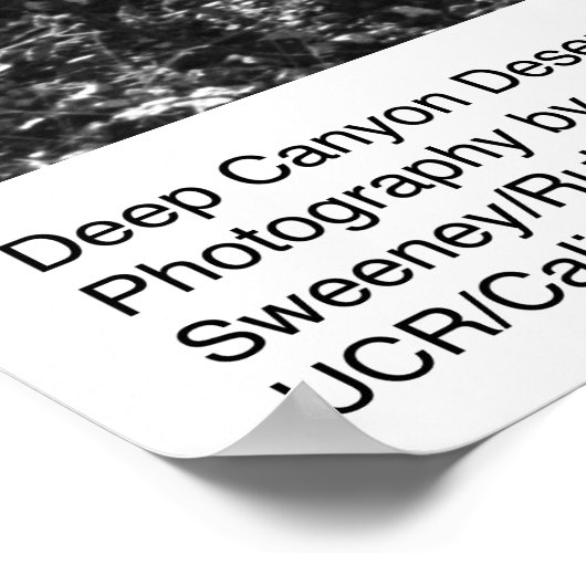 深いキャニオンデザートリサーチステーションバイアンセルアダムス ポスター (角)