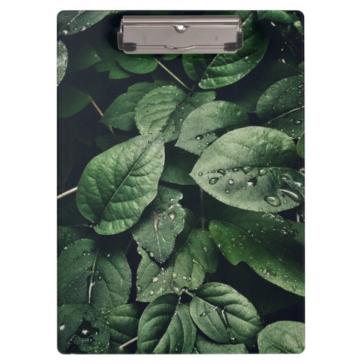 深いグリーンジャングルリーフ クリップボード (正面)