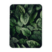 深いグリーンジャングルリーフ マグネット (縦)