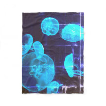 深いダイブダトゥデイ#2コージー海