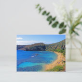 深いハナウマベイ3,ホノルル,オアフ,ハワイ内陸部 ポストカード (スタンド正面)