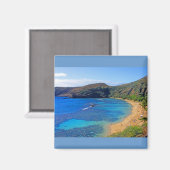 深いハナウマベイ3，ホノルル，オアフ，ハワイ内陸部 マグネット (正面/裏面)