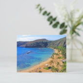 深いハナウマ湾，ホノルル，オアフ ポストカード (スタンド正面)