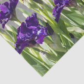 深いパープルアイリスフローラ 薄葉紙 (詳細)