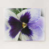 深いパープルオンホワイトパンジー ジグソーパズル (横)