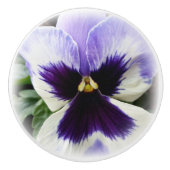 深いパープルオンホワイトパンジー セラミックノブ (正面)