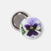 深いパープルオンホワイトパンジー マグネット (正面/裏面)