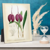 深いパープルオーキッドヴィンテージマスデヴァリアハリヤナ フォトプラーク (側面)