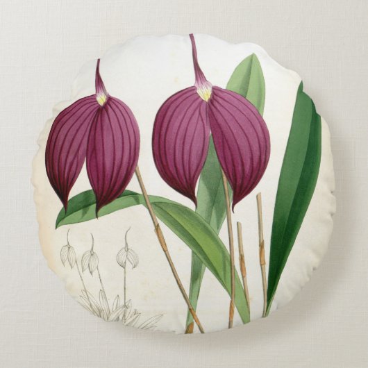 深いパープルオーキッドヴィンテージマスデヴァリアハリヤナ ラウンドクッション (正面)