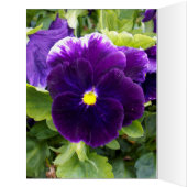 深いパープルパンシー、大きな誕生日カード (内側(左))