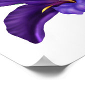 深いパープルボグウォーターアイリスイラストレーション ポスター (角)