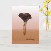 深いビロード真菌(写真追加) カード (黄色い花)