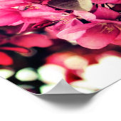 深いピンクの春のクラッアップルの花 ポスター (角)