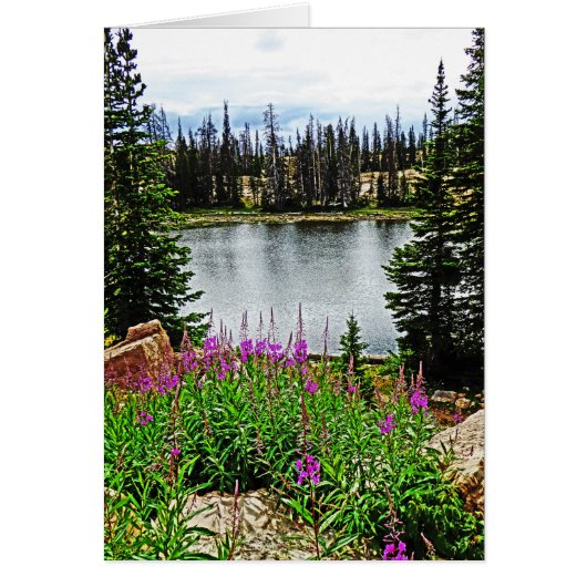 深いピンクの花バイレイク空白の、中 (正面)