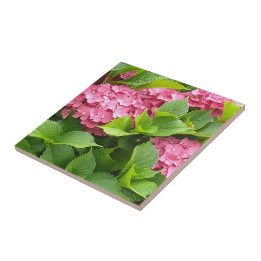 深いピンクアジサイ タイル (側面)