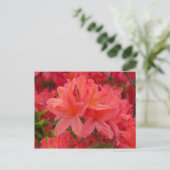 深いピンクシャクナゲ花はがき ポストカード (スタンド正面)