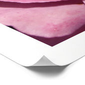 深いピンクローズ ポスター (角)